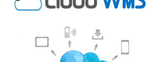 What Is WMS Cloud? The Smart Solution for Modern Warehouse Management 1 WMS Cloud e1749916293240