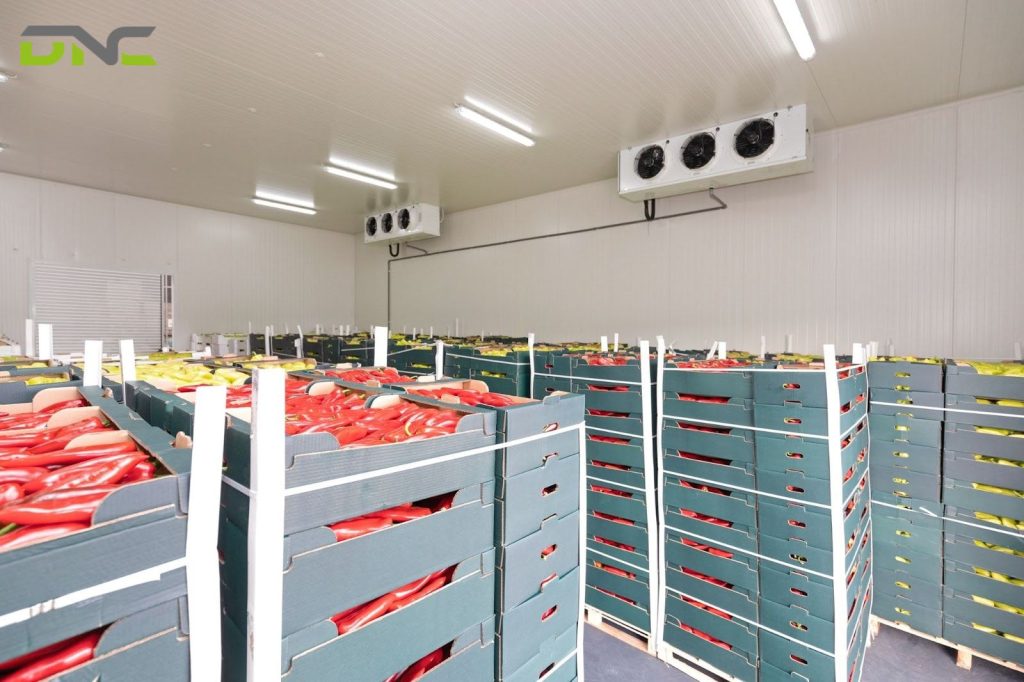 Cold storage chemical warehouses