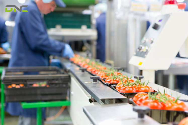 Designing a safe packaging line requires a systematic approach that prioritizes prevention and operator protection at every stage