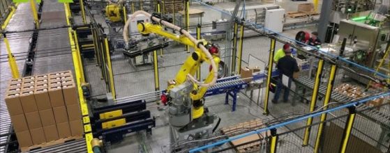 Automatic Handling and Packaging Lines | A Complete Guide for Manufacturers 1 Untitled design 31