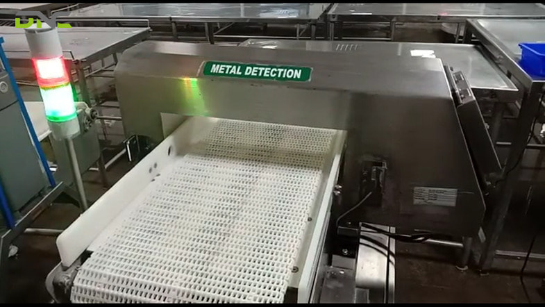 Conveyor Metal Detectors: Types, Configuration, and System Integration 3 What Are Common Problems and Limitations of Conveyor Metal Detectors?