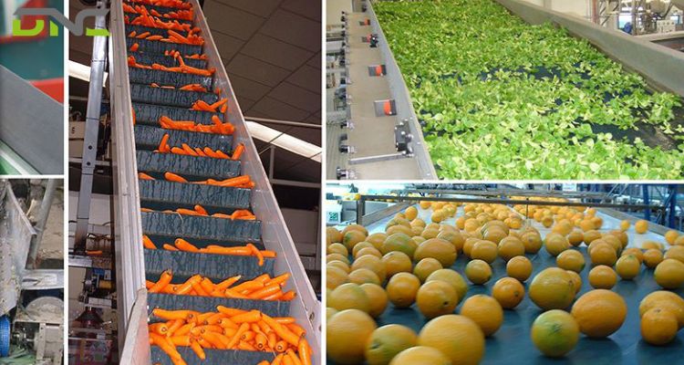 Food Conveyor Belt Systems for Hygienic Automation