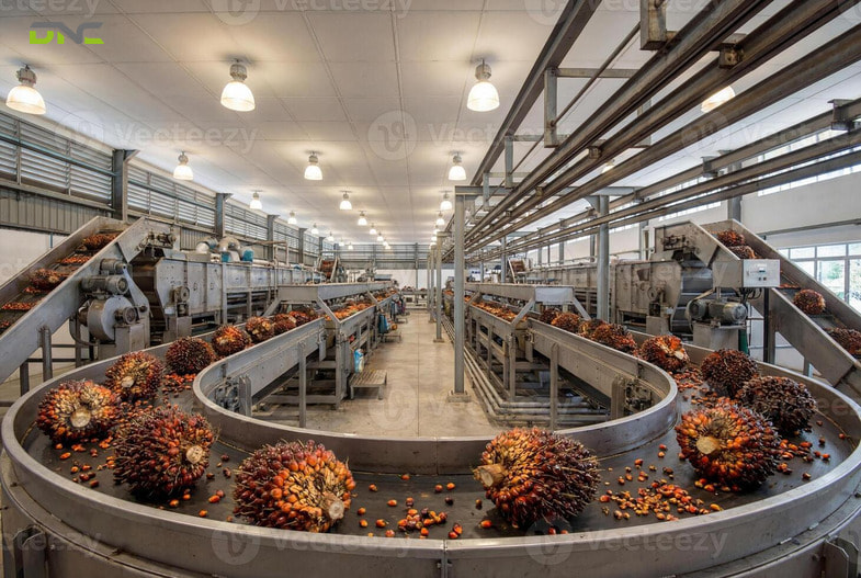 Benefits of a Properly Engineered FFB Conveyor System