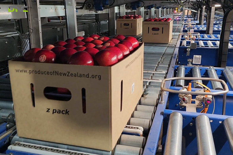 Horizontal FFB Scraper Chain Conveyor (Reception Level)