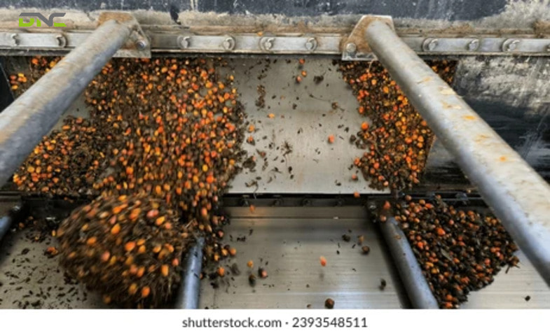 How Does an FFB Conveyor Work?