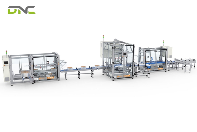 RSC Case Packer: Complete Guide | DNC Automation Malaysia