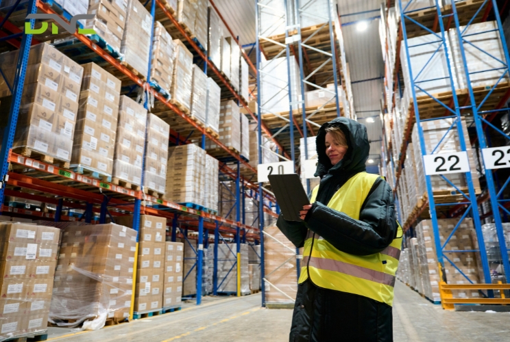 Cold Storage Warehouse Racking: Types, Materials, and Selection Guide