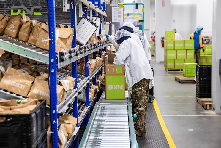 Hygienic Design Standards for Food-Grade Palletizing Systems