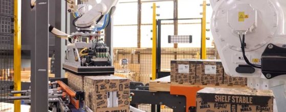Robotic Arm vs Gantry Palletizer: Choosing the Right System for Your Production Line 19 Robotic Arm vs Gantry Palletizer