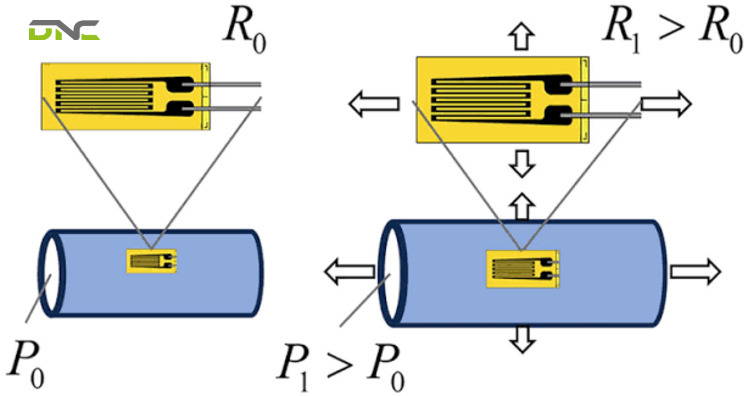 Strain Gauge Working Principle: Deformation Into Signal