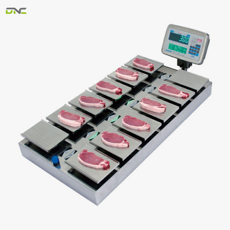Checkweigher vs Static Weighing Scale | DNC Automation 3 Regulatory Exposure Decides the Choice for Exported Goods