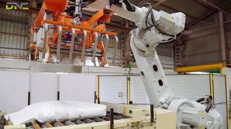 High-Level and Low-Level Bag Palletizers Solve a Drop-Height Problem